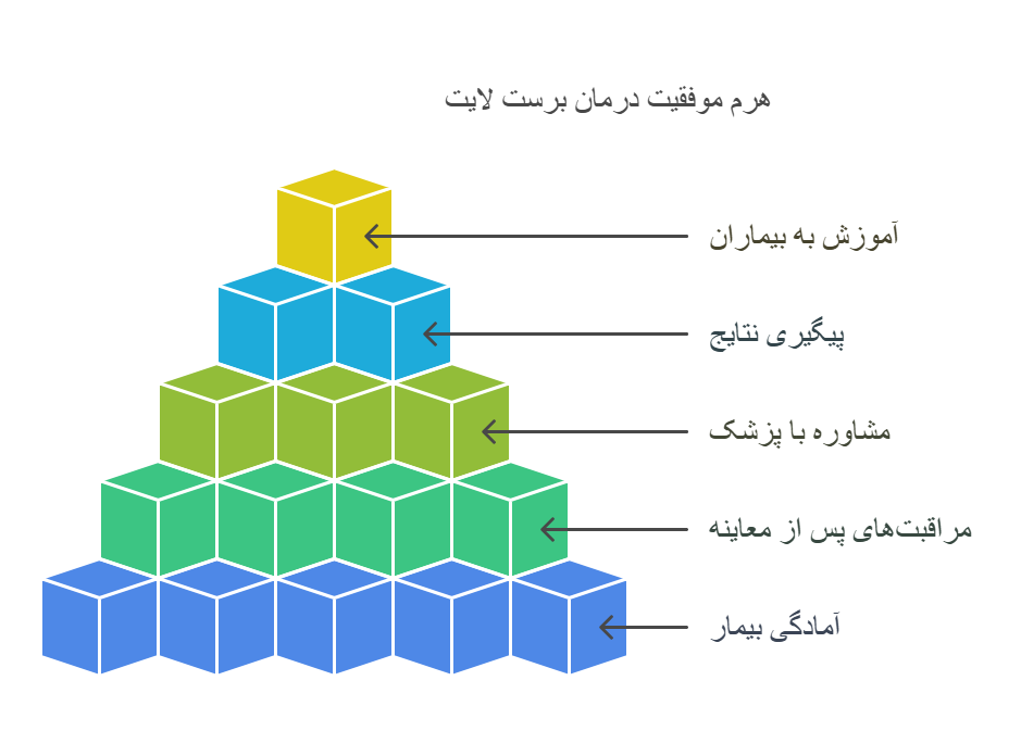 نحوه استفاده از برست لایت
